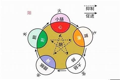 丁未五行|丁未年五行属性 丁未年出生的人命运详解